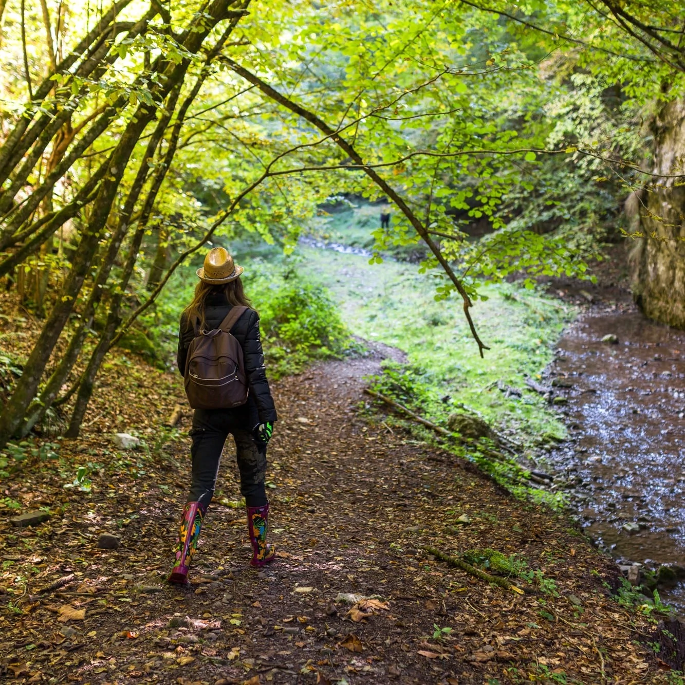 Lady On A Trail Crossing River